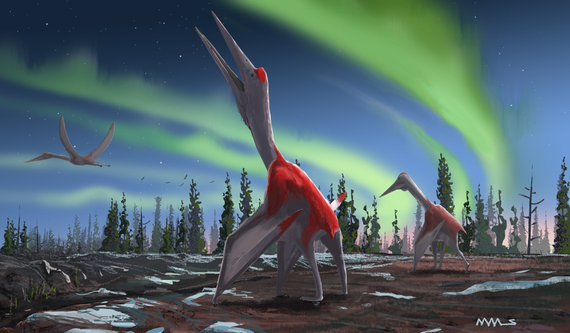 Artist’s depiction of Cryodrakon boreas.